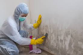 Best Environmental Consulting for Mold Prevention  in Pink, OK